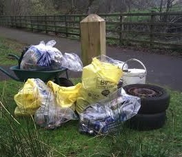 A small proportion of the litter gathered by volunteers.