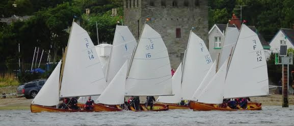 Foyle Class Sailing Punts in action at Culmore Point. Photo courtesy of Sean McCafferty.