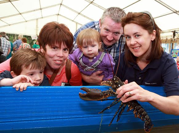 Gillian Simpson, from the Loughs Agency Waterwatch, shows a a local lobster to the McGlynn family, Elaine and Aiden, with their children Grace and Joyce, at the Environment stand in the Festival Village tent.