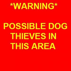 Dog-Theft-Warning