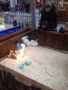 The Easter bunnies are proving popular at Foyleside Shopping Centre