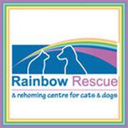 Rainbow Rescue