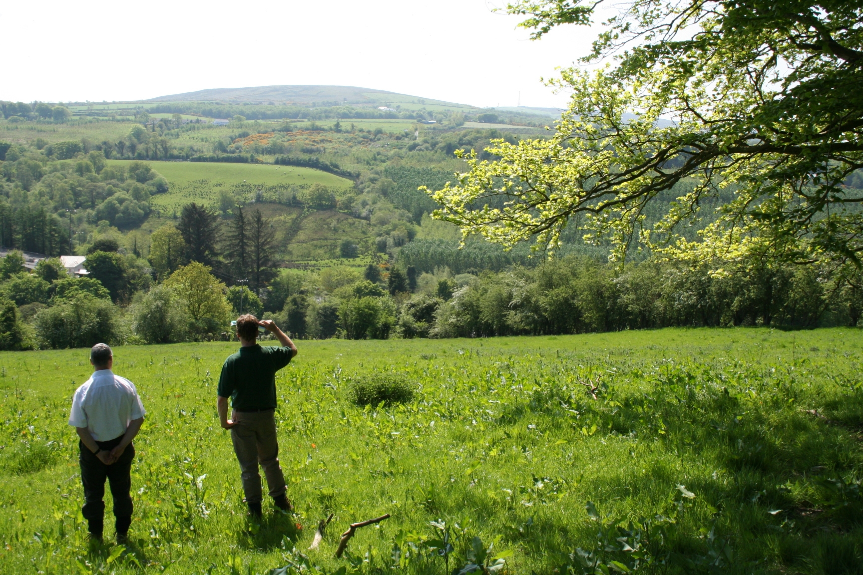 faughan-valley