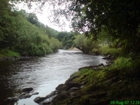 RIVERFAUGHAN