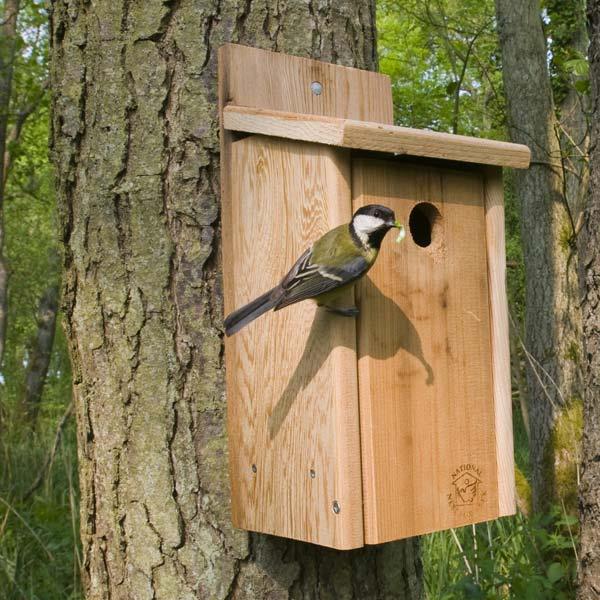 birdbox