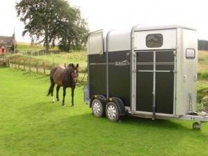 horsebox-trailer