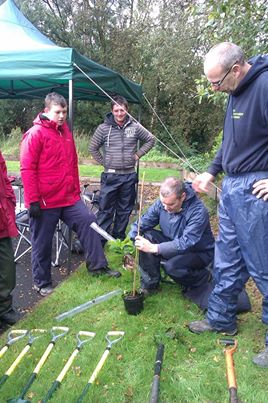 treeplanting