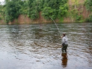 salmonfishing