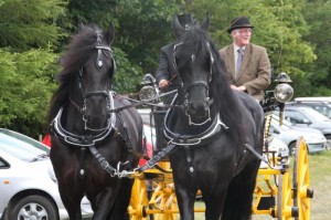 carriagedriving