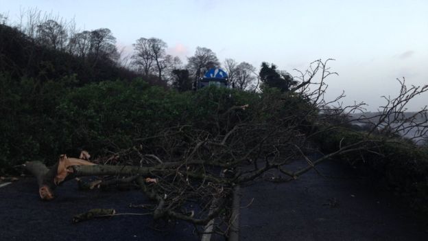 The old Letterkenny Road in closed by a fallen tree during Storm Gertrude