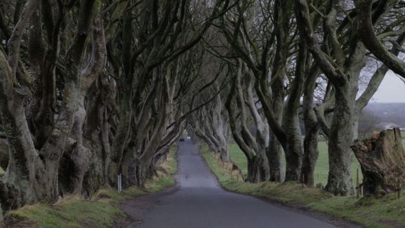 Never Been North on TV3- The Dark Hedges at Ballymoney made famous by Game of Thrones