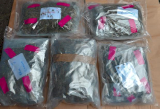 A haul of cannabis seized as part of the probe into Gallagher and his gang